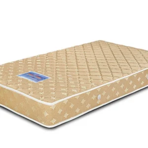 A Spring Mattress